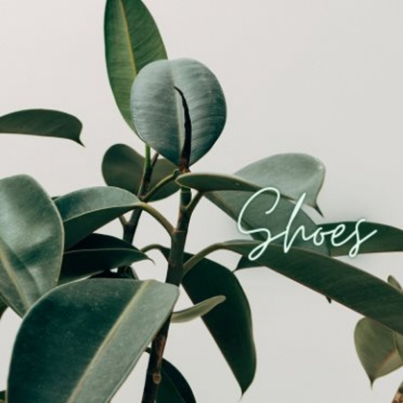 Shoes - Picture 1 of 1